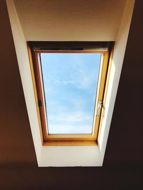 Skylight and Roof Window