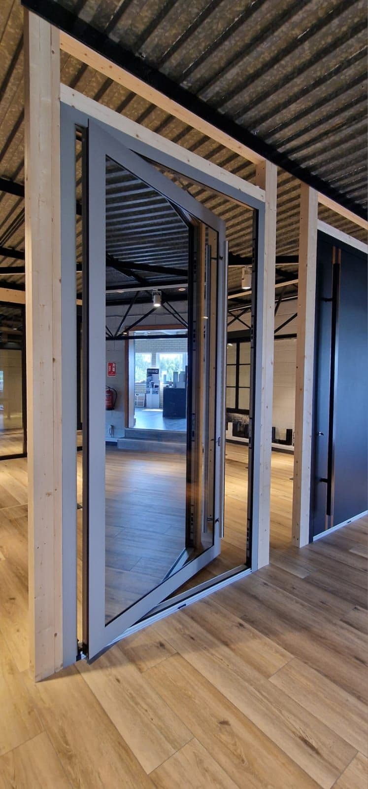 Aluminium Pivot Door
